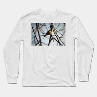 Golden Finch in Tree Palm Desert California Long Sleeve T-Shirt